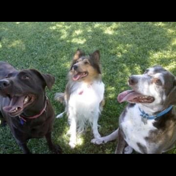 Meet your Posher, Angela - Picture 4 of 16